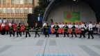 IMG 4756