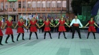 IMG 4781