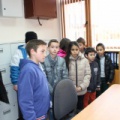 IMG 7782