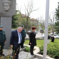 IMG 2924 - Copy
