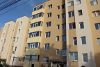 IMG 3508