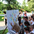IMG 9793