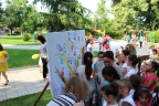 IMG 9793