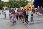 IMG 7255