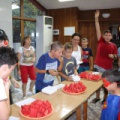 IMG 7279