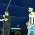 IMG 7681