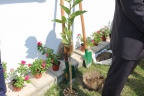 IMG 0288