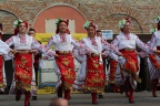 IMG 0484