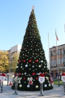 IMG 7585
