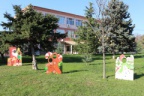 IMG 7590