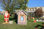 IMG 7591