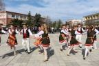 IMG 8765