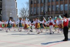 IMG 9887