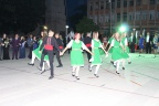 IMG 0539