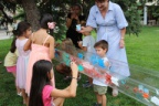 IMG 4831
