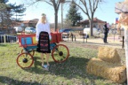 IMG 0526
