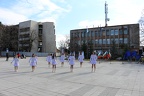 IMG 3623