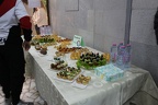 IMG 4501