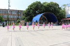 IMG 4568
