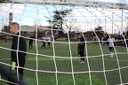 IMG 7106