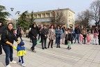 IMG 7434