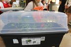 IMG 8553