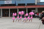 IMG 8893