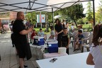 IMG 9291