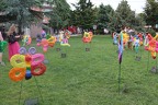 IMG 9743